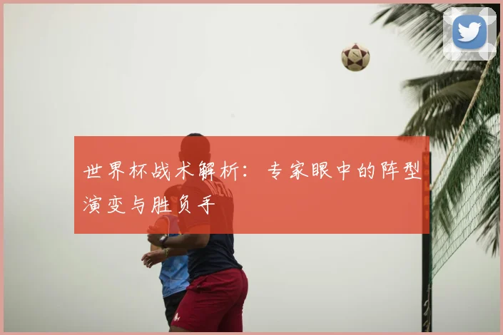 世界杯战术解析：专家眼中的阵型演变与胜负手
