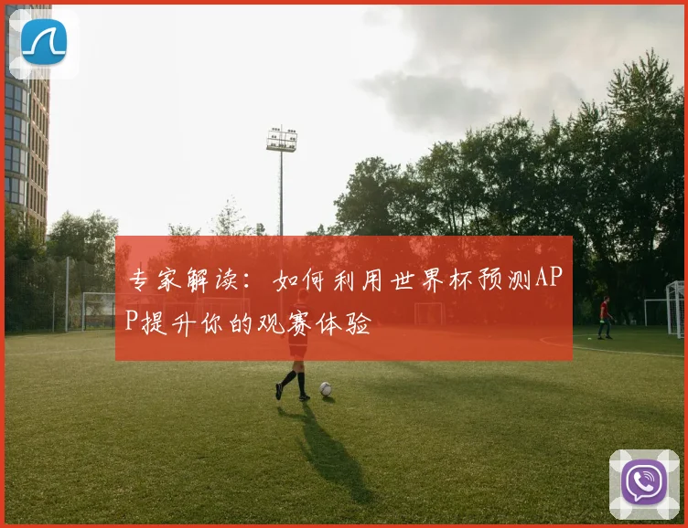 专家解读:如何利用世界杯预测APP提升你的观赛体验