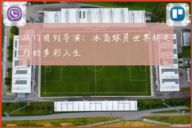 从门将到导演：冰岛球员世界杯之外的多彩人生