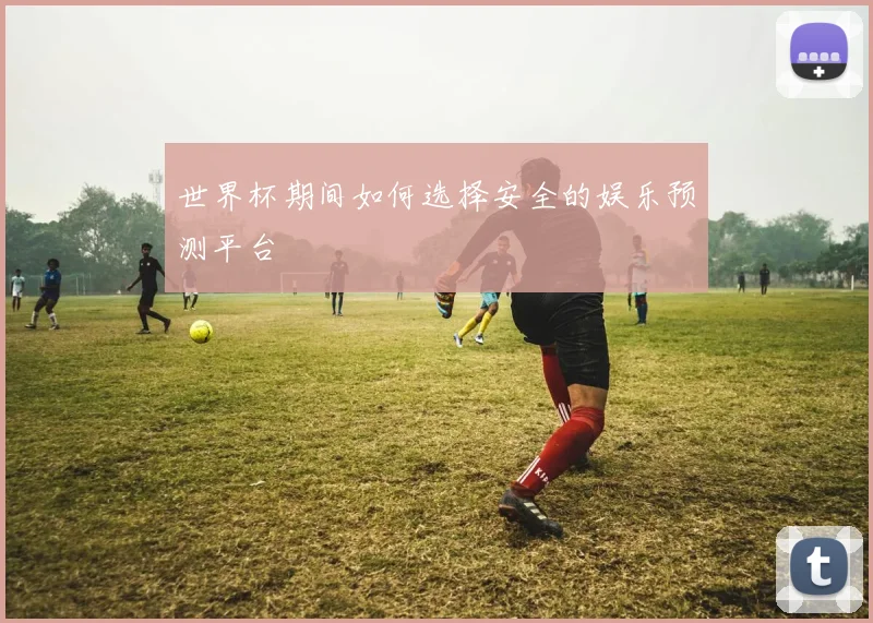 世界杯期间如何选择安全的娱乐预测平台