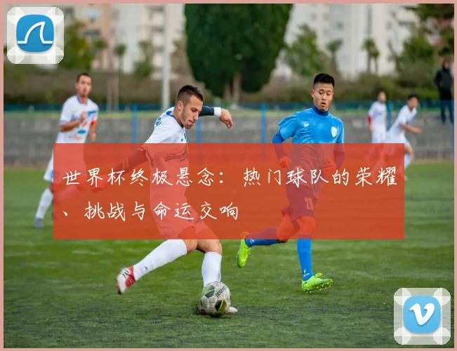 世界杯终极悬念：热门球队的荣耀、挑战与命运交响