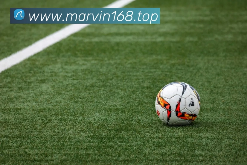 博亚体育app官网入口APP 封面图